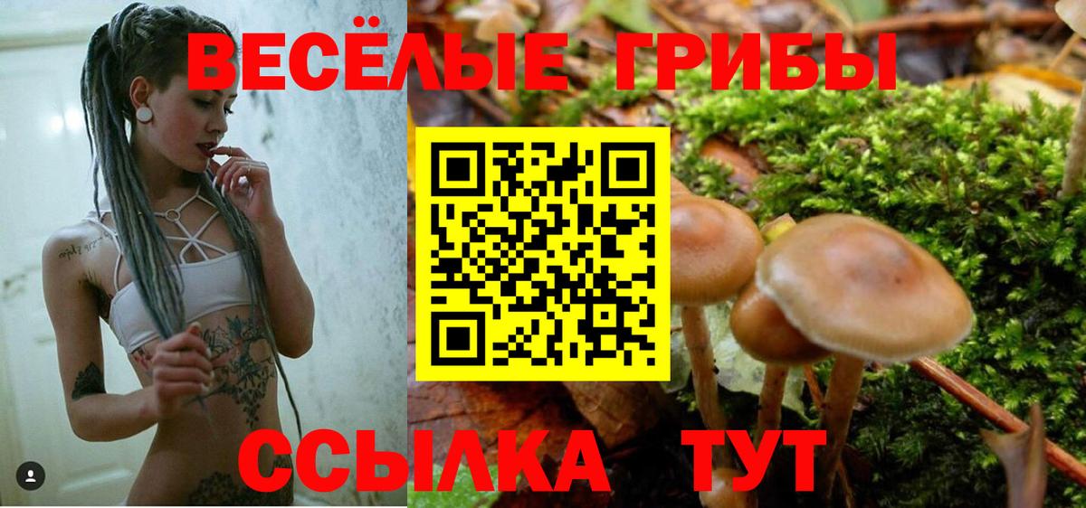 Краснокаменск  Галлюциногенные грибы Magic Shrooms  магазин  наркотиков  Вход с VPN  Псилоцибиновые грибы мухоморы 